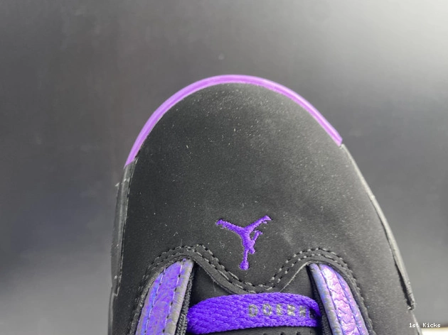 AIR 14 RETRO CV2469-001 '' DOERNBECHER JORDAN 0630